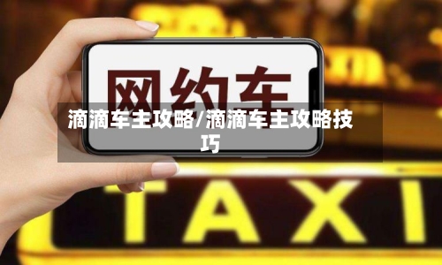 滴滴车主攻略/滴滴车主攻略技巧-第3张图片