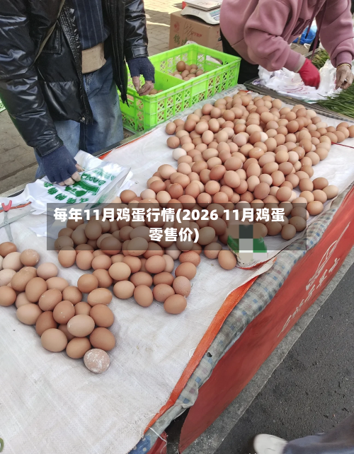 每年11月鸡蛋行情(2026 11月鸡蛋零售价)-第3张图片