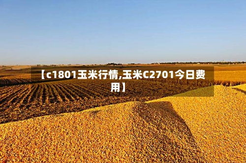 【c1801玉米行情,玉米C2701今日费用】-第2张图片