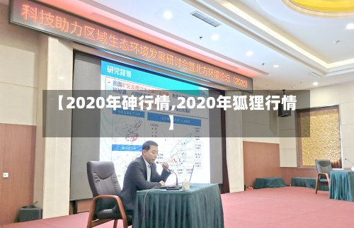 【2020年砷行情,2020年狐狸行情】