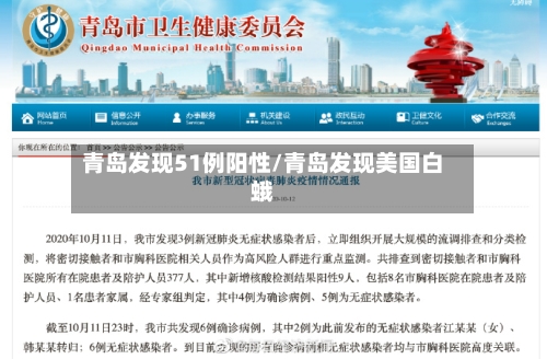 青岛发现51例阳性/青岛发现美国白蛾