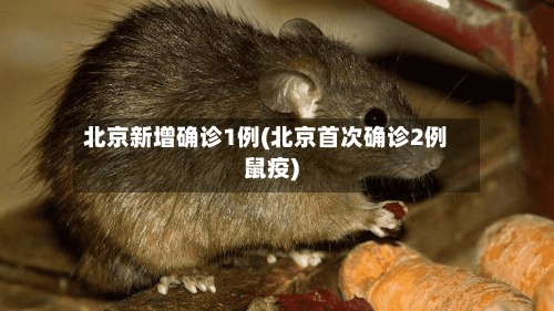 北京新增确诊1例(北京首次确诊2例鼠疫)-第3张图片