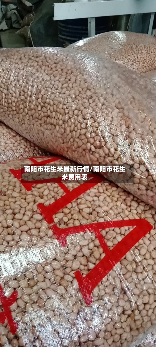 南阳市花生米最新行情/南阳市花生米费用表