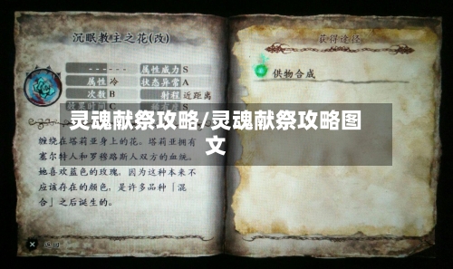 灵魂献祭攻略/灵魂献祭攻略图文-第2张图片
