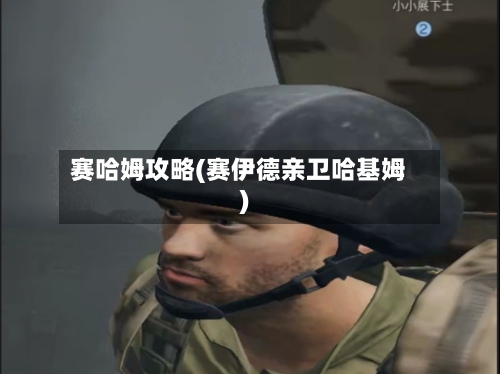 赛哈姆攻略(赛伊德亲卫哈基姆)-第3张图片