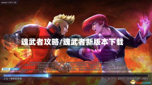 魂武者攻略/魂武者新版本下载