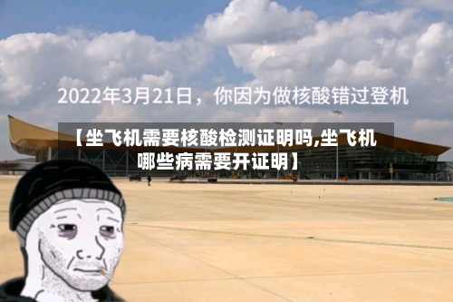 【坐飞机需要核酸检测证明吗,坐飞机哪些病需要开证明】-第3张图片