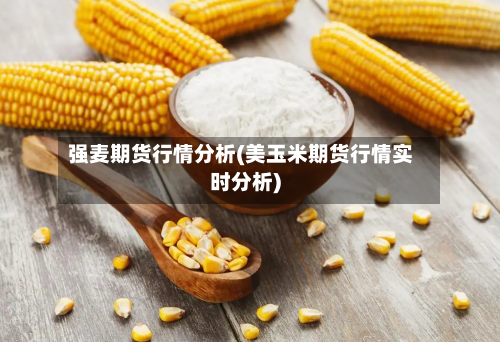 强麦期货行情分析(美玉米期货行情实时分析)
