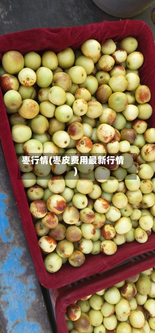 枣行情(枣皮费用最新行情)