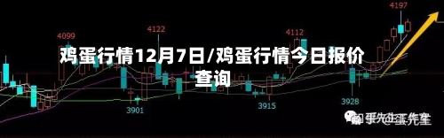 鸡蛋行情12月7日/鸡蛋行情今日报价查询-第2张图片