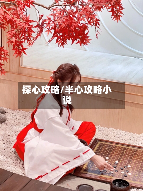 探心攻略/半心攻略小说