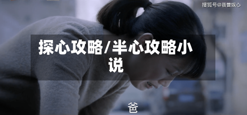 探心攻略/半心攻略小说-第2张图片