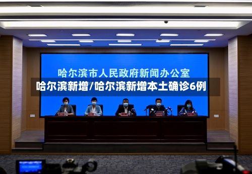 哈尔滨新增/哈尔滨新增本土确诊6例
