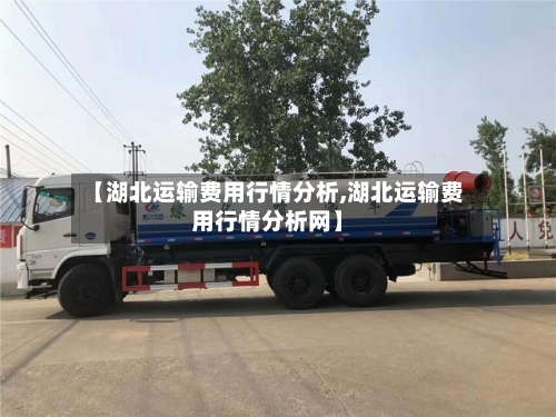 【湖北运输费用行情分析,湖北运输费用行情分析网】