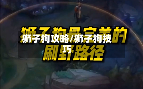 狮子狗攻略/狮子狗技巧-第3张图片