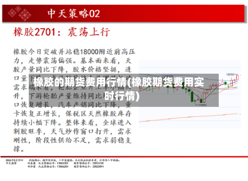 橡胶的期货费用行情(橡胶期货费用实时行情)-第2张图片
