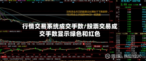 行情交易系统成交手数/股票交易成交手数显示绿色和红色-第2张图片