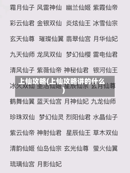 上仙攻略(上仙攻略讲的什么)