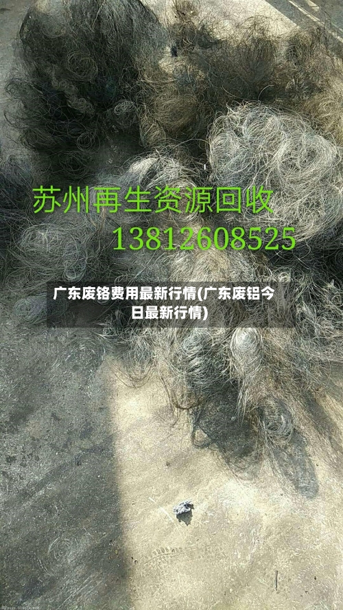 广东废铬费用最新行情(广东废铝今日最新行情)-第2张图片