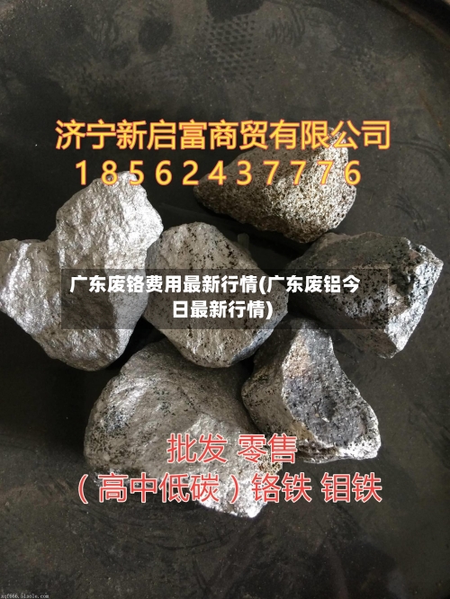 广东废铬费用最新行情(广东废铝今日最新行情)