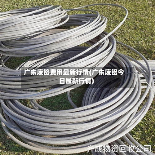 广东废铬费用最新行情(广东废铝今日最新行情)-第3张图片