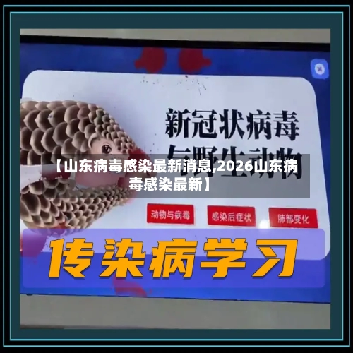 【山东病毒感染最新消息,2026山东病毒感染最新】