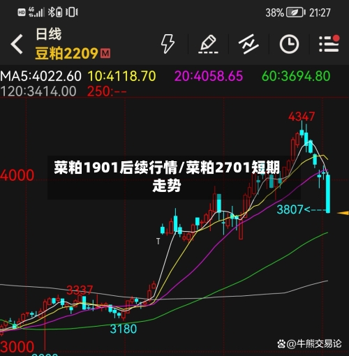 菜粕1901后续行情/菜粕2701短期走势-第3张图片