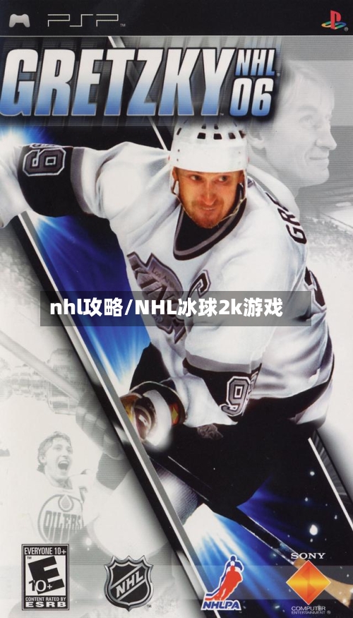 nhl攻略/NHL冰球2k游戏