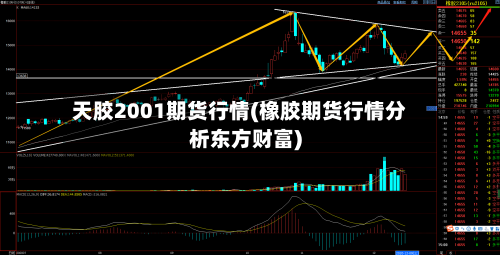 天胶2001期货行情(橡胶期货行情分析东方财富)-第1张图片