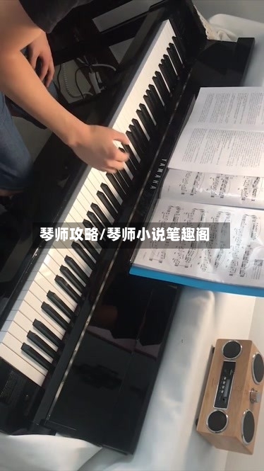 琴师攻略/琴师小说笔趣阁