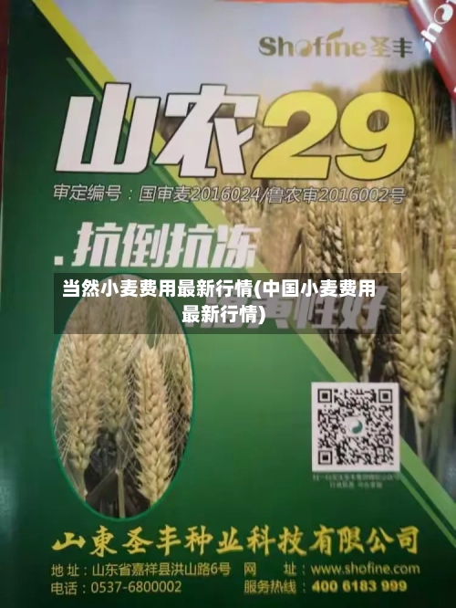 当然小麦费用最新行情(中国小麦费用最新行情)