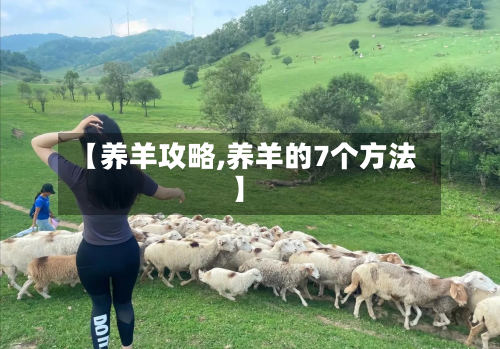 【养羊攻略,养羊的7个方法】