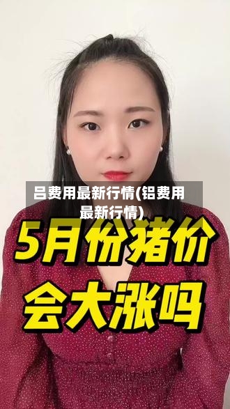 吕费用最新行情(铝费用最新行情)-第2张图片