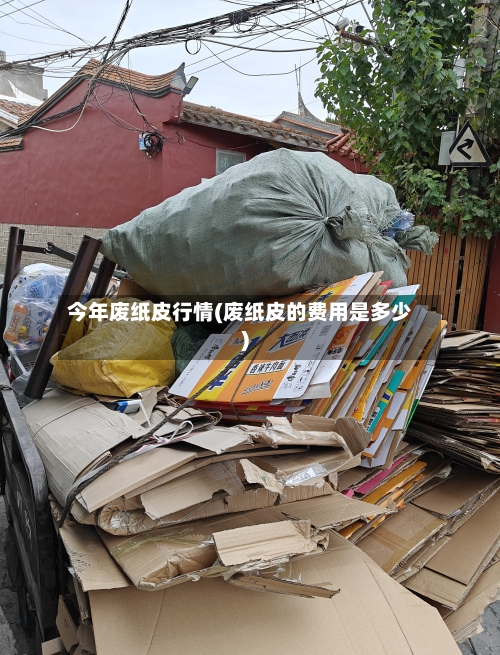 今年废纸皮行情(废纸皮的费用是多少)