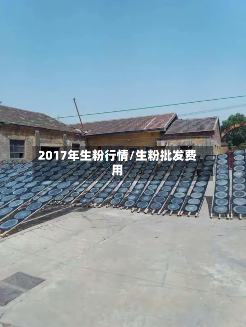 2017年生粉行情/生粉批发费用-第1张图片