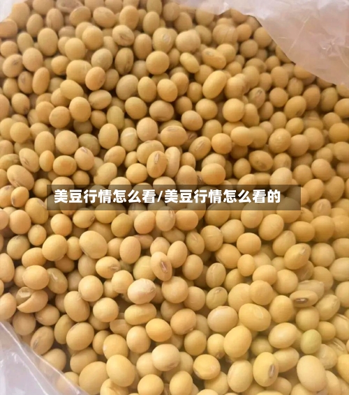 美豆行情怎么看/美豆行情怎么看的