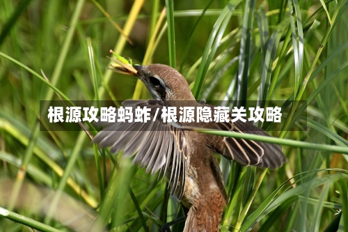根源攻略蚂蚱/根源隐藏关攻略-第2张图片