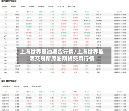 上海世界原油期货行情/上海世界能源交易所原油期货费用行情