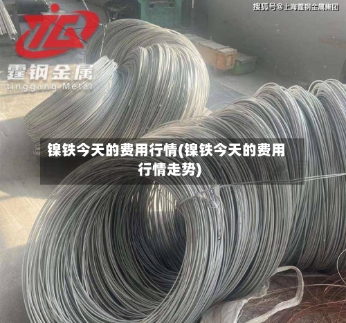 镍铁今天的费用行情(镍铁今天的费用行情走势)-第1张图片