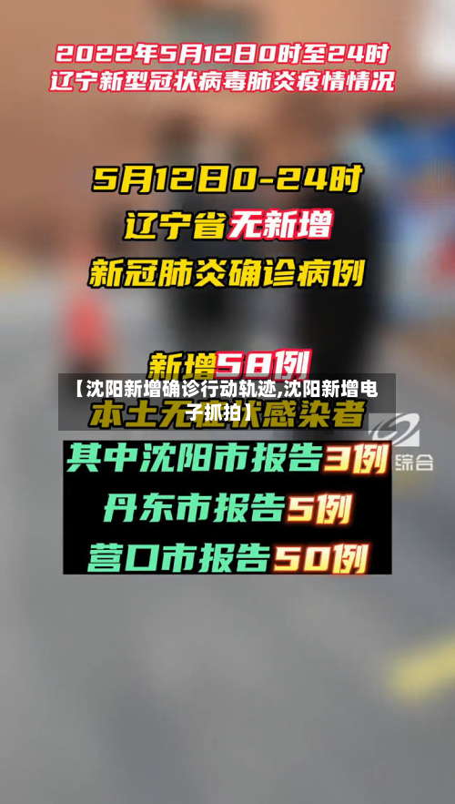 【沈阳新增确诊行动轨迹,沈阳新增电子抓拍】-第3张图片