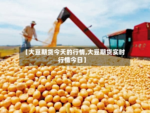 【大豆期货今天的行情,大豆期货实时行情今日】-第2张图片