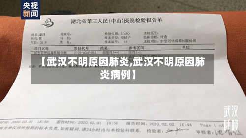 【武汉不明原因肺炎,武汉不明原因肺炎病例】-第3张图片