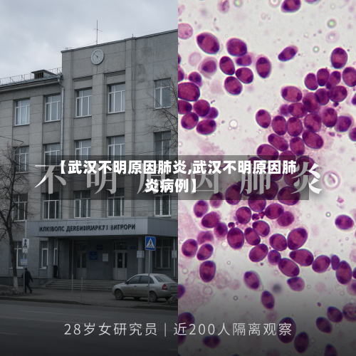 【武汉不明原因肺炎,武汉不明原因肺炎病例】