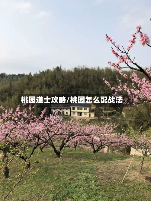 桃园道士攻略/桃园怎么配战法