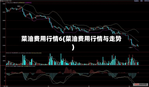 菜油费用行情6(菜油费用行情与走势)-第2张图片