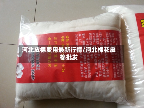 河北皮棉费用最新行情/河北棉花皮棉批发-第3张图片