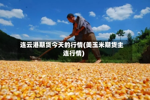 连云港期货今天的行情(美玉米期货主连行情)
