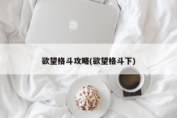 欲望格斗攻略(欲望格斗下)