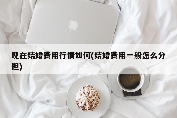 现在结婚费用行情如何(结婚费用一般怎么分担)