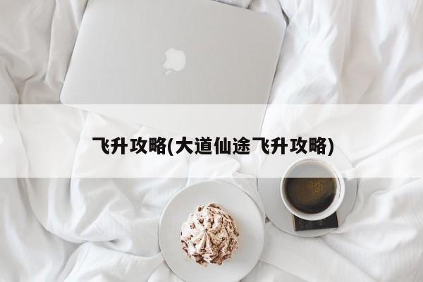 飞升攻略(大道仙途飞升攻略)